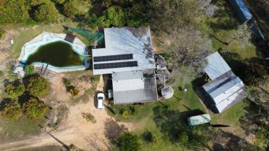 Residential Block For Sale - QLD - Canina - 4570 - 5 ACRE EASTSIDE SANCTUARY (Image 2)