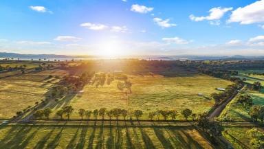 Lifestyle For Sale - NSW - Tamworth - 2340 - TURN-KEY PURPOSE BUILT EQUINE FACILTY - ONE OF THE BEST IN THE REGION  (Image 2)