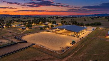Lifestyle For Sale - NSW - Tamworth - 2340 - TURN-KEY PURPOSE BUILT EQUINE FACILTY - ONE OF THE BEST IN THE REGION  (Image 2)