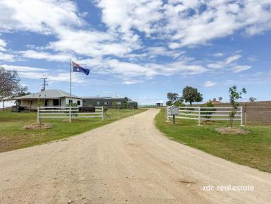 Mixed Farming For Sale - NSW - Delungra - 2403 - THE SPRINGS  (Image 2)