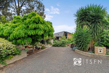 House For Sale - VIC - Strathdale - 3550 - A Blue-Chip Position for Convenience and Lifestyle  (Image 2)
