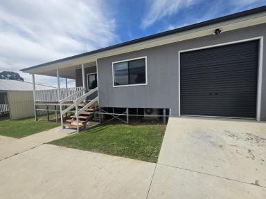 House For Lease - NSW - Young - 2594 - NEW TO THE RENTAL MARKET  (Image 2)