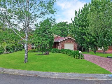 House For Sale - NSW - Bundanoon - 2578 - Solidly Built, Proudly Local. (Image 2)