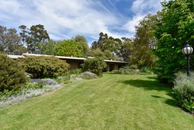 Cropping For Sale - SA - Coonawarra - 5263 - "Camawald" A Rare Coonawarra Lifestyle, Where Rural Living Meets Something Truly Special  (Image 2)