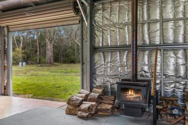 Lifestyle For Sale - VIC - Barongarook - 3249 - Your Own Private Bushland Haven...  (Image 2)