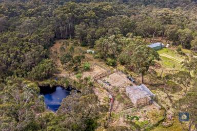 Lifestyle For Sale - VIC - Barongarook - 3249 - Your Own Private Bushland Haven...  (Image 2)