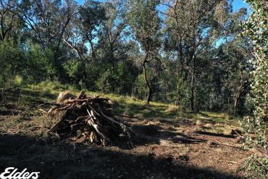 Other (Rural) For Sale - VIC - Briagolong - 3860 - The quiet of the mountains (Image 2)