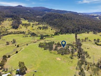 Residential Block For Sale - TAS - Colebrook - 7027 - Colebrook Country Retreat - 8.14 Acres of Serenity (Image 2)