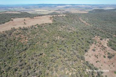 Mixed Farming For Sale - NSW - Warialda - 2402 - MOUNT TOOLIMBAH  (Image 2)