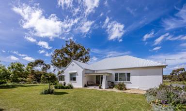 House For Sale - SA - Penola - 5277 - Stunning renovated home one minute from Penola  (Image 2)