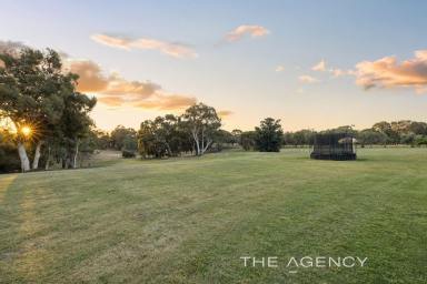 House For Sale - WA - Herne Hill - 6056 - A Rare Lifestyle Opportunity Like No Other In The Heart Of The Swan Valley! (Image 2)