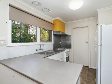 House For Sale - VIC - Cann River - 3890 - COMFORTABLE LIVING IN THE HEART OF CANN RIVER  (Image 2)