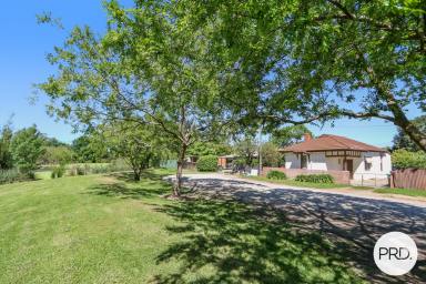 House For Lease - NSW - South Albury - 2640 - SOUTH ALBURY HOME WITH PARKLAND OUTLOOK! (Image 2)