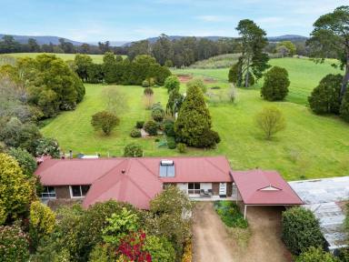 Acreage/Semi-rural For Sale - VIC - Kinglake West - 3757 - Renovated 5 Bedroom Family Lifestyle Home on Nearly 3 Acres with Exceptional Shedding  (Image 2)