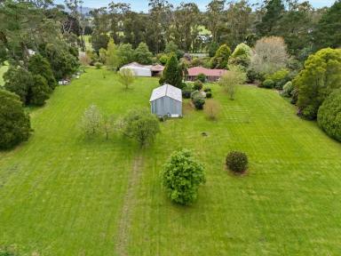 Acreage/Semi-rural For Sale - VIC - Kinglake West - 3757 - Renovated 5 Bedroom Family Lifestyle Home on Nearly 3 Acres with Exceptional Shedding  (Image 2)