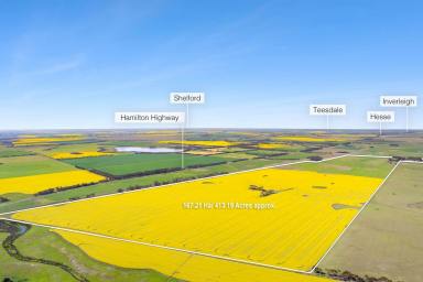 Other (Rural) For Sale - VIC - Wingeel - 3321 - 'Karinga' - 413 Acres* of Versatile Farming Country  (Image 2)