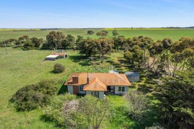 Other (Rural) For Sale - VIC - Wingeel - 3321 - 'Karinga' - 413 Acres* of Versatile Farming Country  (Image 2)