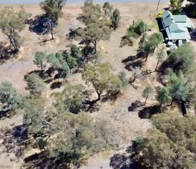Residential Block For Sale - NSW - Boree Creek - 2652 - Great Space And Lifestyle  (Image 2)