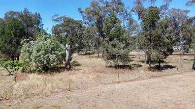 Residential Block For Sale - NSW - Boree Creek - 2652 - Great Space And Lifestyle  (Image 2)