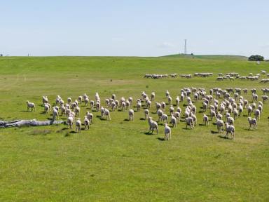 Residential Block Auction - NSW - Bowning - 2582 - Own Your 'Peace' of Banjo Patterson Country  (Image 2)