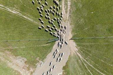Residential Block Auction - NSW - Bowning - 2582 - Own Your 'Peace' of Banjo Patterson Country  (Image 2)