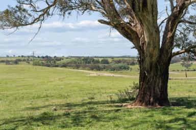 Residential Block Auction - NSW - Bowning - 2582 - Own Your 'Peace' of Banjo Patterson Country  (Image 2)