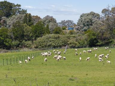Residential Block Auction - NSW - Bowning - 2582 - Own Your 'Peace' of Banjo Patterson Country  (Image 2)
