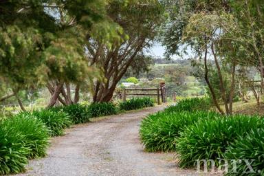 Lifestyle For Sale - SA - Flaxman Valley - 5235 - Exciting opportunity to secure a lifestyle property in Flaxman Valley.....  (Image 2)