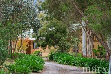 Lifestyle For Sale - SA - Flaxman Valley - 5235 - Exciting opportunity to secure a lifestyle property in Flaxman Valley.....  (Image 2)