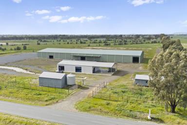 Commercial Farming Expressions of Interest - VIC - Lemnos - 3631 - 178 Acres with Extensive Shedding, Water and Power Infrastructure (Image 2)