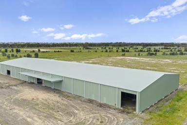 Commercial Farming Expressions of Interest - VIC - Lemnos - 3631 - 178 Acres with Extensive Shedding, Water and Power Infrastructure (Image 2)