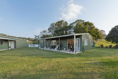 House For Sale - QLD - Black Mountain - 4563 - Noosa Hinterland Acreage with Dual Living  (Image 2)