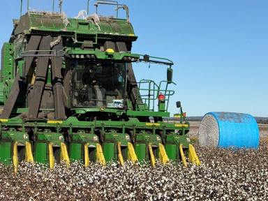 Cropping Auction - NSW - Biniguy - 2399 - Binneguy Station, Biniguy  (Image 2)