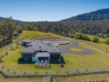 Viticulture For Sale - NSW - Kyogle - 2474 - "BALLYBUNDY" ON LYNCH'S CREEK  (Image 2)