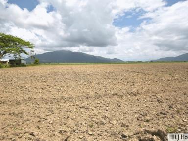Residential Block For Sale - QLD - East Feluga - 4854 - Space to Build, Room to Live – Your Rural Lifestyle Awaits!  (Image 2)