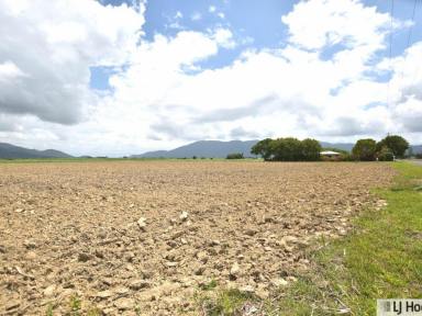 Residential Block For Sale - QLD - East Feluga - 4854 - Space to Build, Room to Live – Your Rural Lifestyle Awaits!  (Image 2)