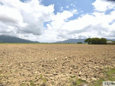 Residential Block For Sale - QLD - East Feluga - 4854 - Space to Build, Room to Live – Your Rural Lifestyle Awaits!  (Image 2)