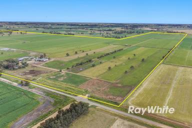 Dairy For Sale - VIC - Lockington - 3563 - Outstanding Dairy Farm Opportunity  (Image 2)