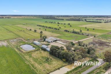 Dairy For Sale - VIC - Lockington - 3563 - Outstanding Dairy Farm Opportunity  (Image 2)