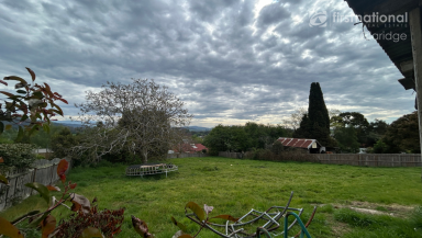 House For Sale - TAS - Deloraine - 7304 - Excellent Investment Opportunity! (Image 2)
