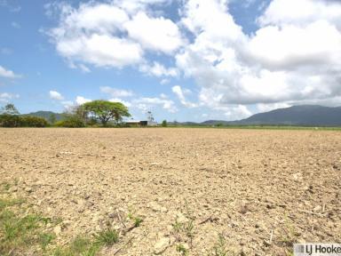 Residential Block For Sale - QLD - East Feluga - 4854 - Your Own Piece of the Country – Space, Privacy and Possibility!  (Image 2)