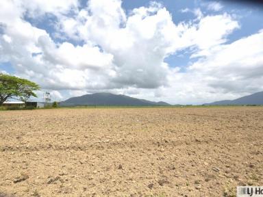 Residential Block For Sale - QLD - East Feluga - 4854 - Your Own Piece of the Country – Space, Privacy and Possibility!  (Image 2)