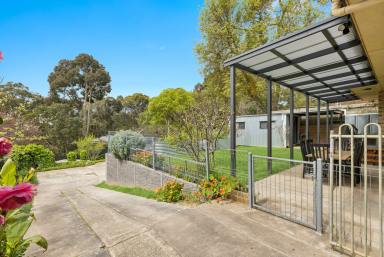 House For Sale - SA - Piccadilly - 5151 - Mid-century warmth and a garden of possibilities (Image 2)