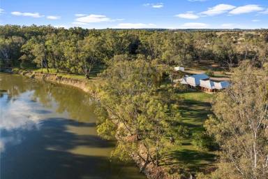Other (Rural) Auction - NSW - Narrandera - 2700 - Enviable position with absolute river frontage (Image 2)