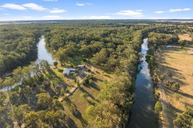 Other (Rural) Auction - NSW - Narrandera - 2700 - Enviable position with absolute river frontage (Image 2)
