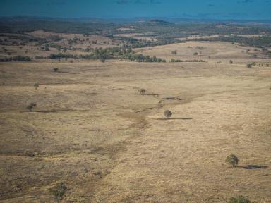 Livestock For Sale - QLD - Stanthorpe - 4380 - "Gwandalan" - 3,736 Acres of open grazing country - Stanthorpe Region SE QLD  (Image 2)