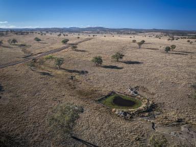Livestock For Sale - QLD - Stanthorpe - 4380 - "Gwandalan" - 3,736 Acres of open grazing country - Stanthorpe Region SE QLD  (Image 2)
