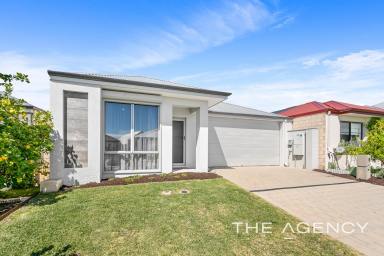 House For Sale - WA - Treeby - 6164 - Enjoy The Treeby Lifestyle (Image 2)