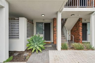 Apartment For Sale - WA - Willagee - 6156 - Ground Floor Position in a Brilliant Locale (Image 2)