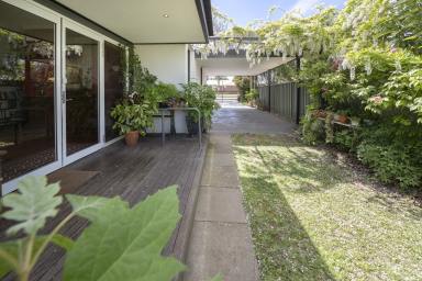 House For Sale - VIC - Swan Hill - 3585 - Character, Comfort & Space in a Sought-After Swan Hill Location (Image 2)